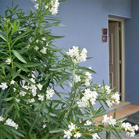 D'hotes Relais Milord 3* Estialescq