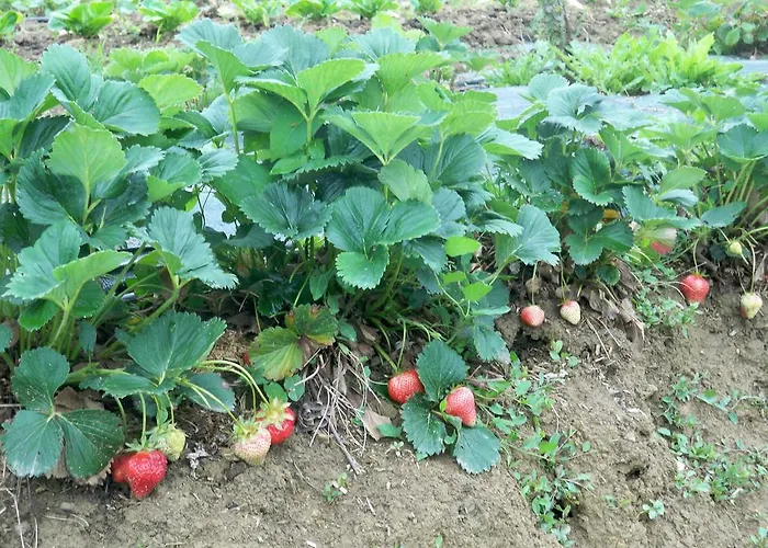 D'hôtes Relais Milord 3*